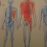 Pain Management Doctors Near Me