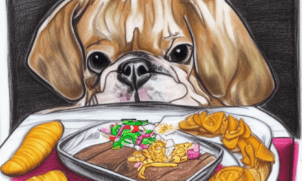 11 Types Of Food Dogs Can’t Eat!
