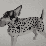 What Are Black Spots On Dog Skin?