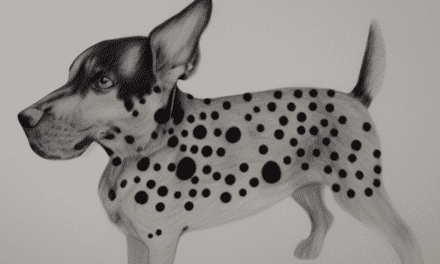 What Are Black Spots On Dog Skin?