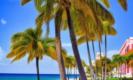 Best Places to Visit in Palm Beach Shores, Florida