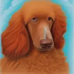 Grooming Tips For Your Red Standard Poodle