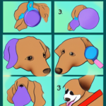 How to Wash Dog Toys and Other Dog Supplies Properly