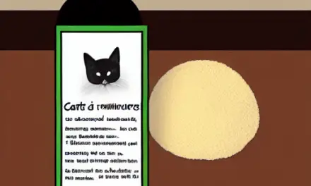 What Ingredients Should Not Be Found in Cat Shampoo