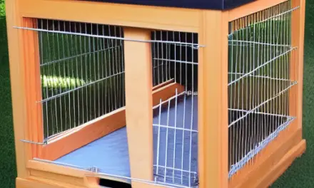 How to Build a Medium Dog Crate
