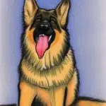 How to Deal With Older German Shepherd Health Problems