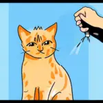 Cat Pee Spray – How to Stop Your Cat From Urinating Outside the Litter Box