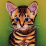 The Price of a Bengal Kitten
