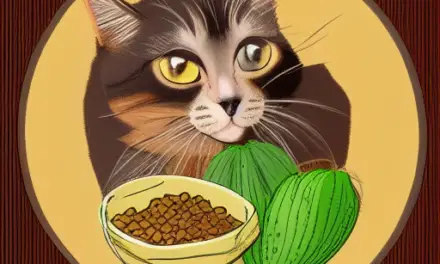 Healthy Cat Food – How to Make Healthy Cat Food at Home