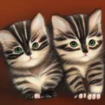 Coonomagic Kittens For Sale Near Me