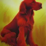 Red Setter Facts