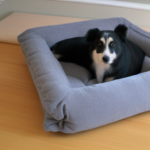 PetFusion Dog Bed Review