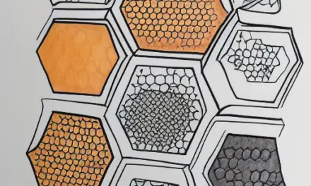 5 Common Uses For a Honeycomb Organizer