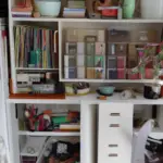 How to Get Organized in Your Home With Clea and Joanna Teplin