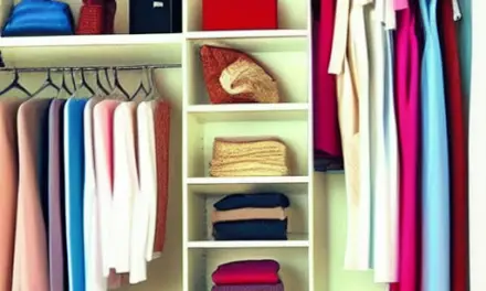 Closet Organizer Ideas For Small Closets