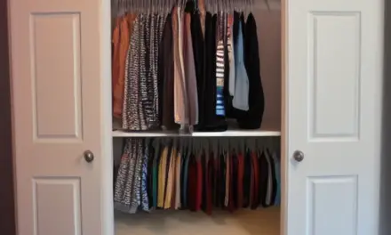 EasyClosets Build in Closet For Small Bedroom
