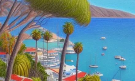 Things to Do in Catalina Island
