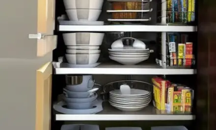 The Best Way to Organise Kitchen Cupboards