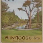 Places To Visit In Winnebago