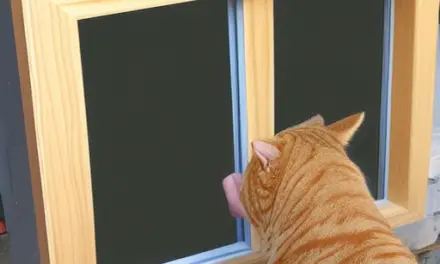 Installing a Cat Door For Sliding Door