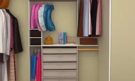 Small Bedroom Closet Organization Ideas