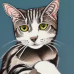 Important Facts About the American Wirehair Cat