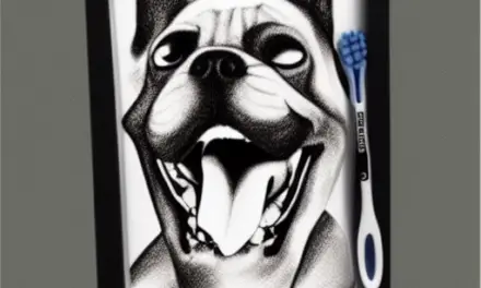 How to Choose the Best Dog Toothbrush