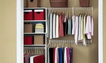 Important Things to Consider When Purchasing a Home Goods Closet Organizer