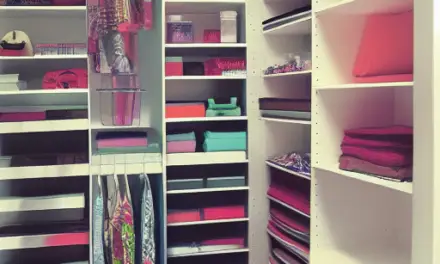 Container Store Closet Solutions