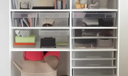 Get Organized With the Home Edit by Joanna Teplin and Clea Shearer