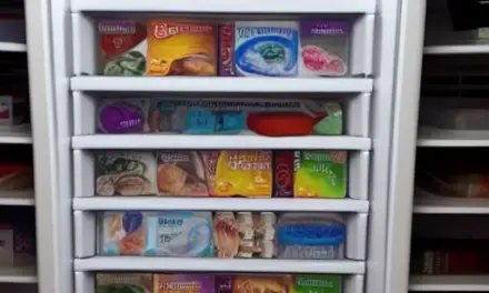 The Best Way to Organize a Deep Freezer