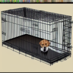 42 Dog Crate – Size & Style Guide