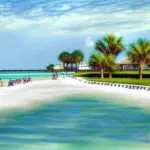 Things To Do In Siesta Key Florida