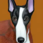 Smooth Fox Terrier Health Issues