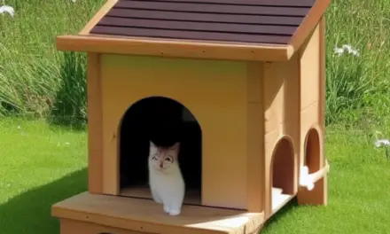 A Wooden Cat House Is A Great Choice For Outdoor Use