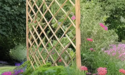 How to Choose a Trellis For Your Garden