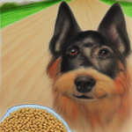 Is Your Dog Eating Orijen Grain Free Dog Food?