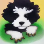 Teacup Poodles For Sale Under $500