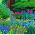 Zone 7a Planting Guide – Perennials and Evergreens