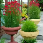 Types of Outdoor Planter Designs