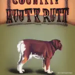 Country Hunter Dog Food Review