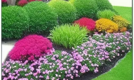 Small Landscaping Ideas For Your Yard