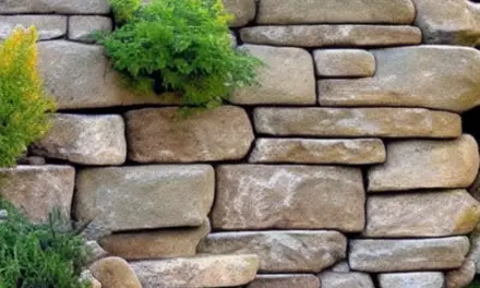Rock Wall Garden Ideas