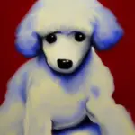 Toy Poodles on Craigslist
