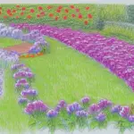 Flower Garden Layout Ideas