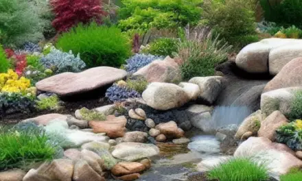 Rock Pond Ideas For Your Garden