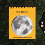 Moon Planting Guide – How to Plant With the Full Moon in Your Garden