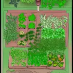 A Basic Herb Garden Layout
