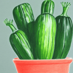 How to Care For Zucchini Plants in Pots