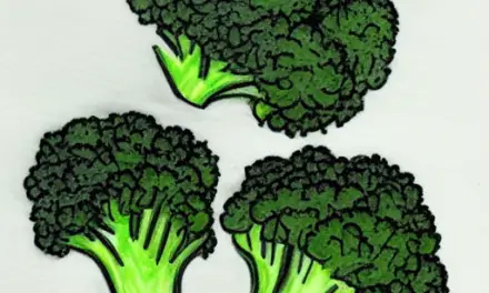 How to Make Oven Roasted Broccoli